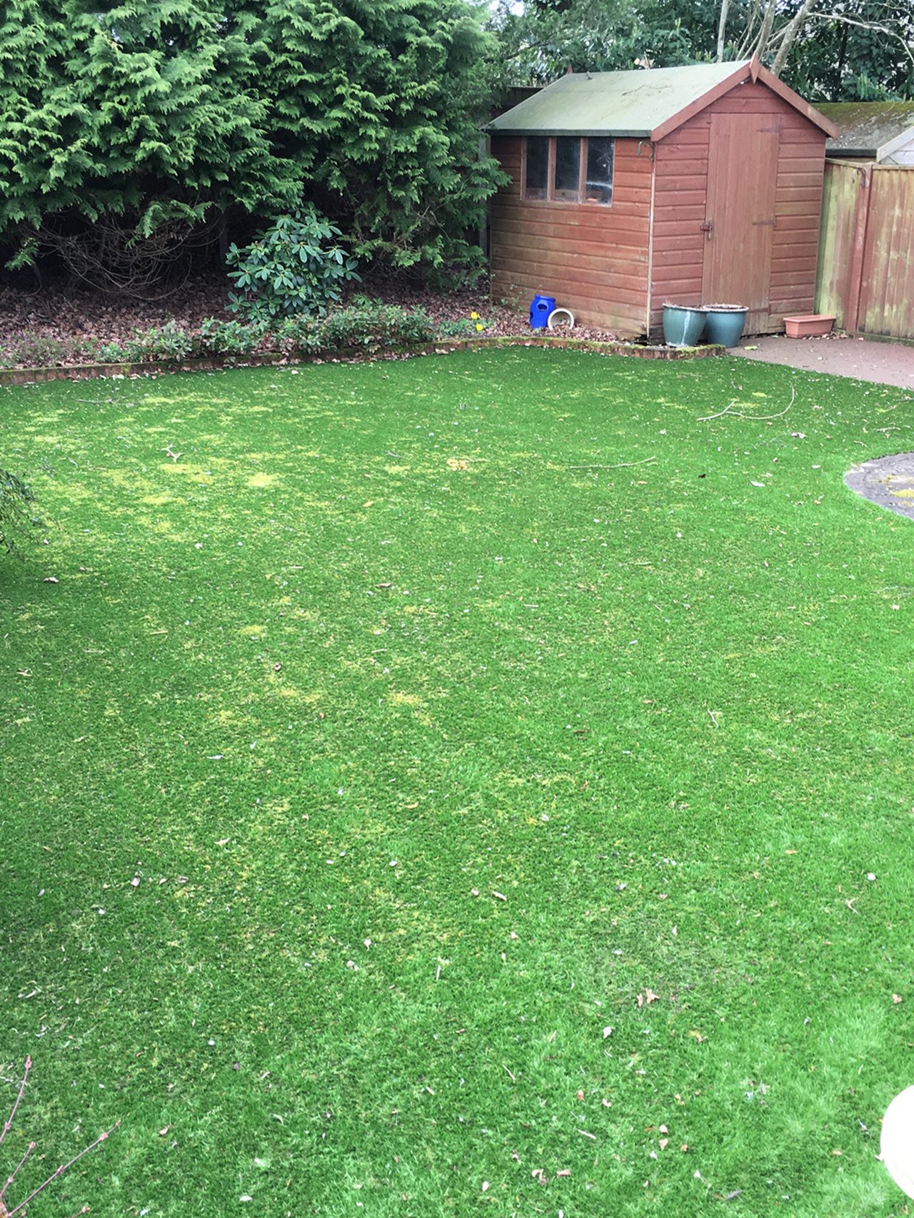 Maintenance Love It Lawns